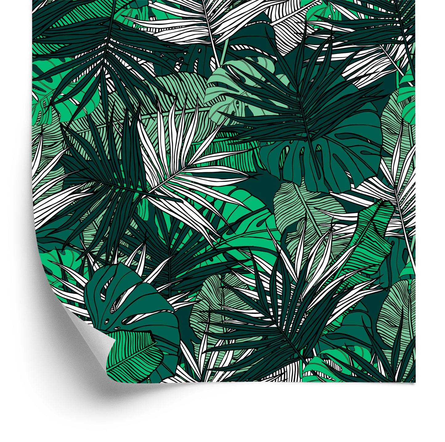 Wallpaper Palm Banana Monstera Leaves
