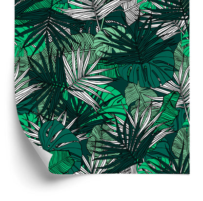 Wallpaper Palm Banana Monstera Leaves