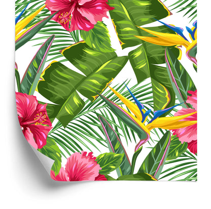 Wallpaper Beautiful