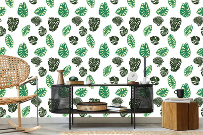Wallpaper Monstera And Alocasia Leaves