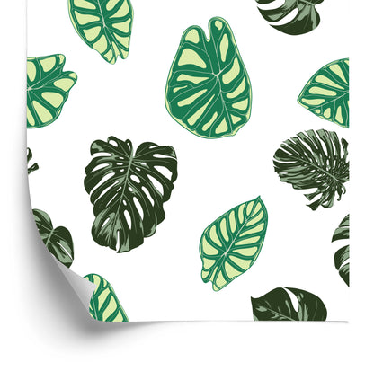 Wallpaper Monstera And Alocasia Leaves