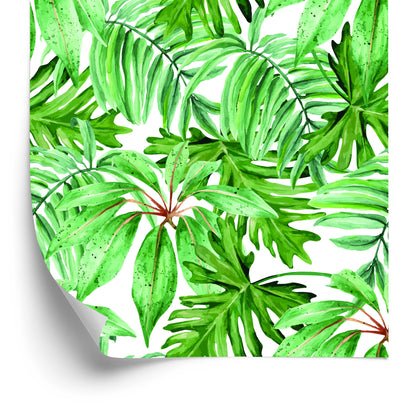 Wallpaper Tropical Leaves