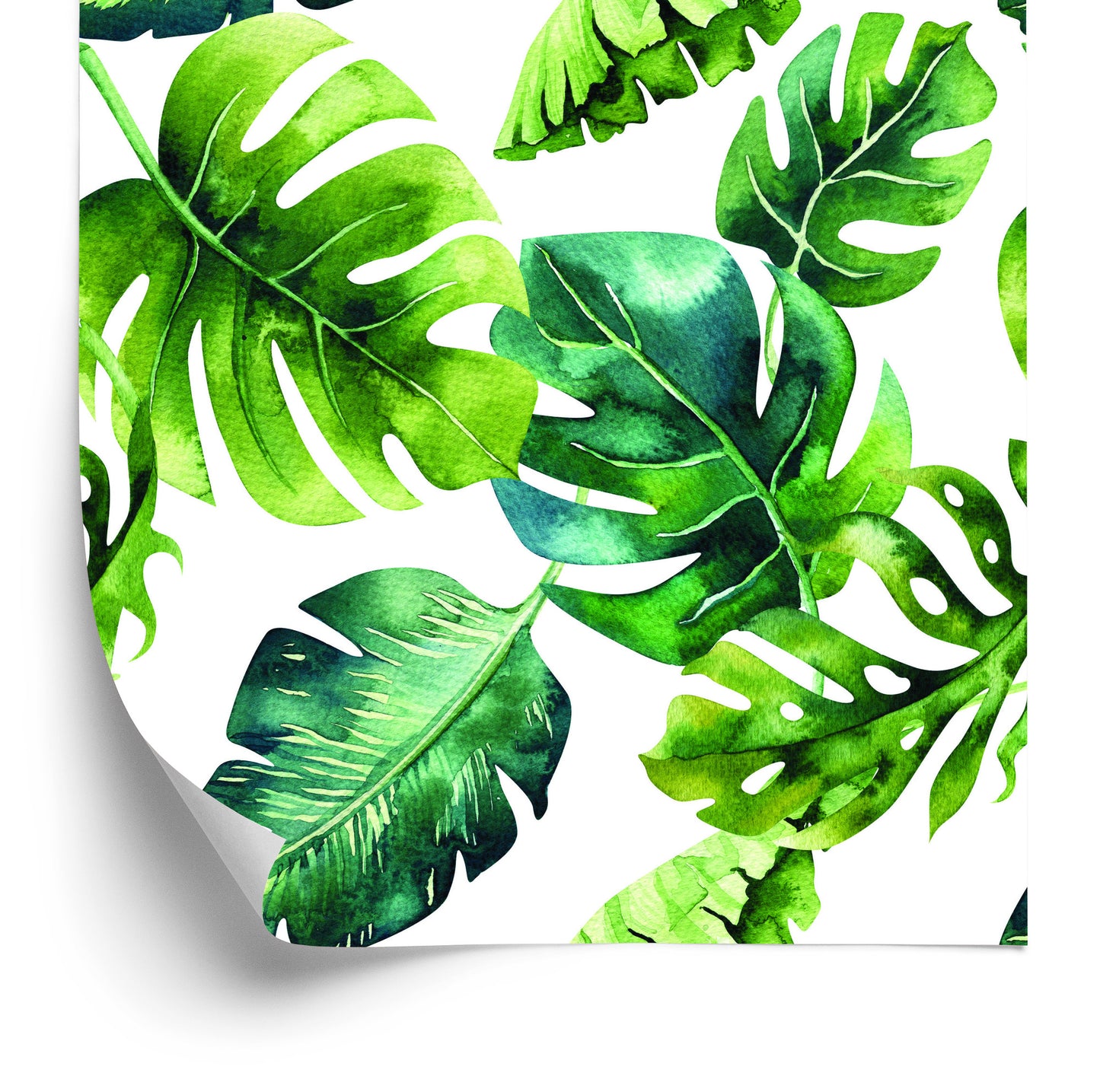 Wallpaper Tropical Leaves In Green Shades