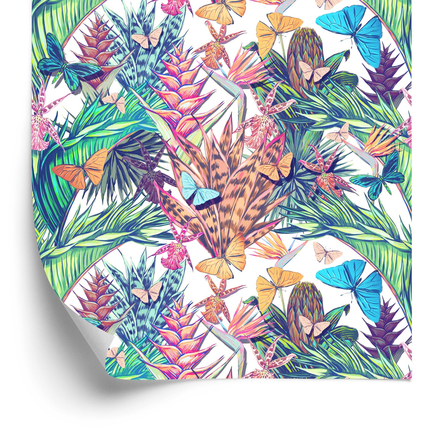 Wallpaper Tropical Plants And Insects
