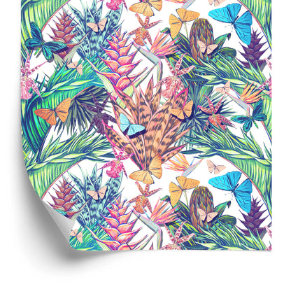 Wallpaper Tropical Plants And Insects