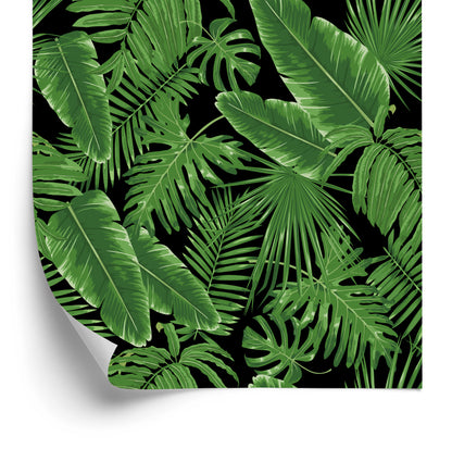 Wallpaper Tropical Leaves