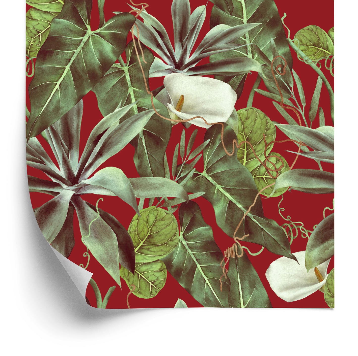 Wallpaper Exotic Leaves