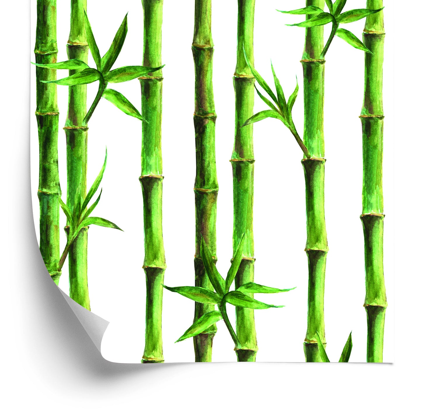 Wallpaper Bamboo Forest