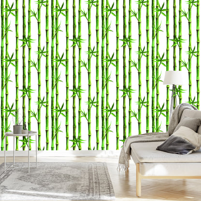 Wallpaper Bamboo Forest
