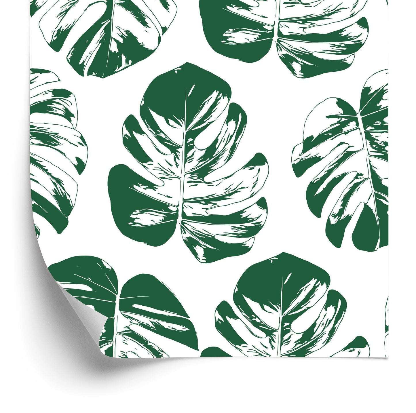 Wallpaper Green-White Leaves