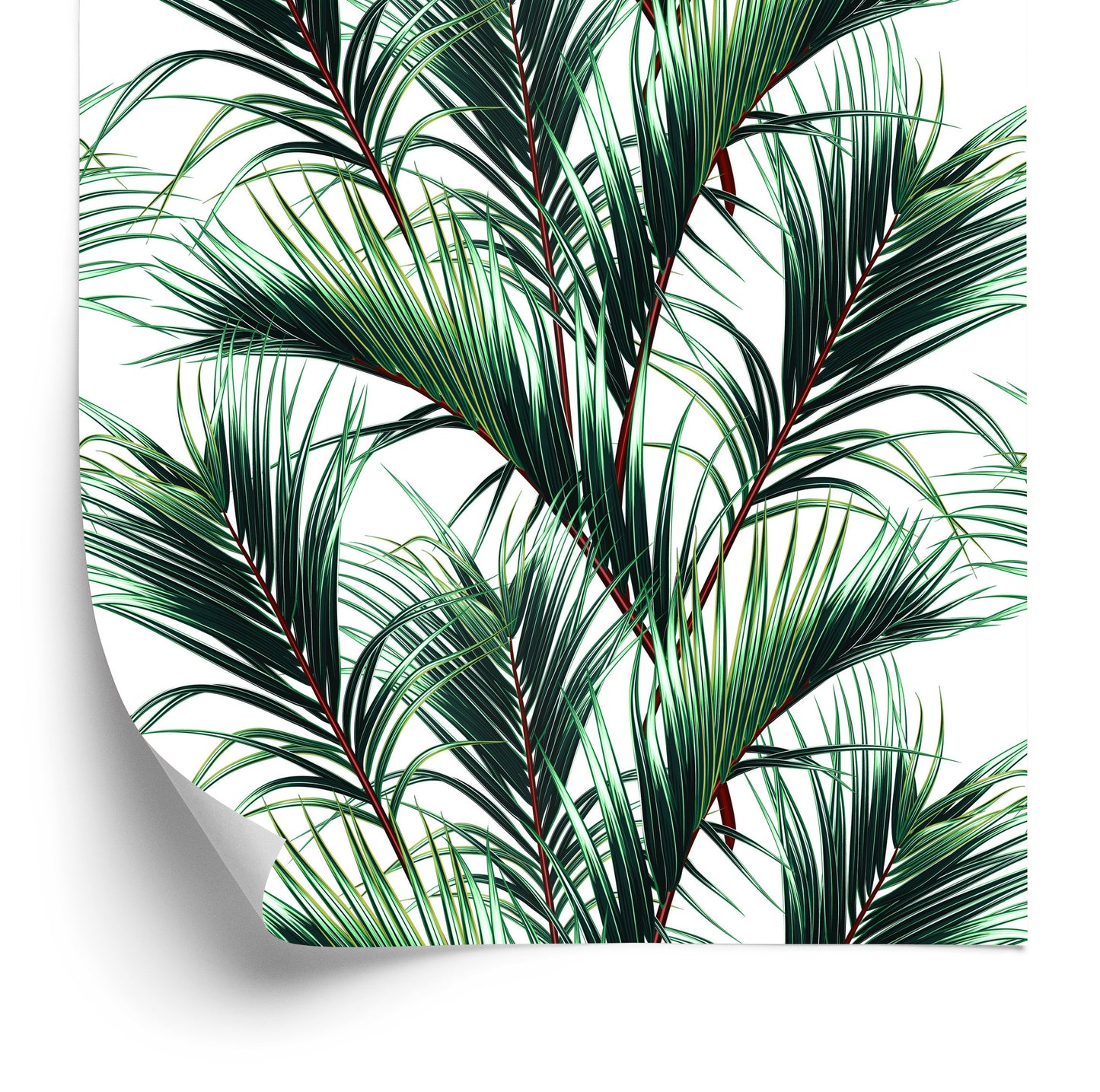 Wallpaper Palm Leaves