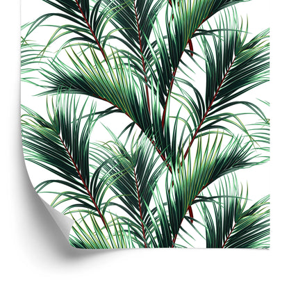 Wallpaper Palm Leaves