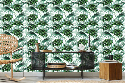 Wallpaper Leaves Of The Palm And Monstera