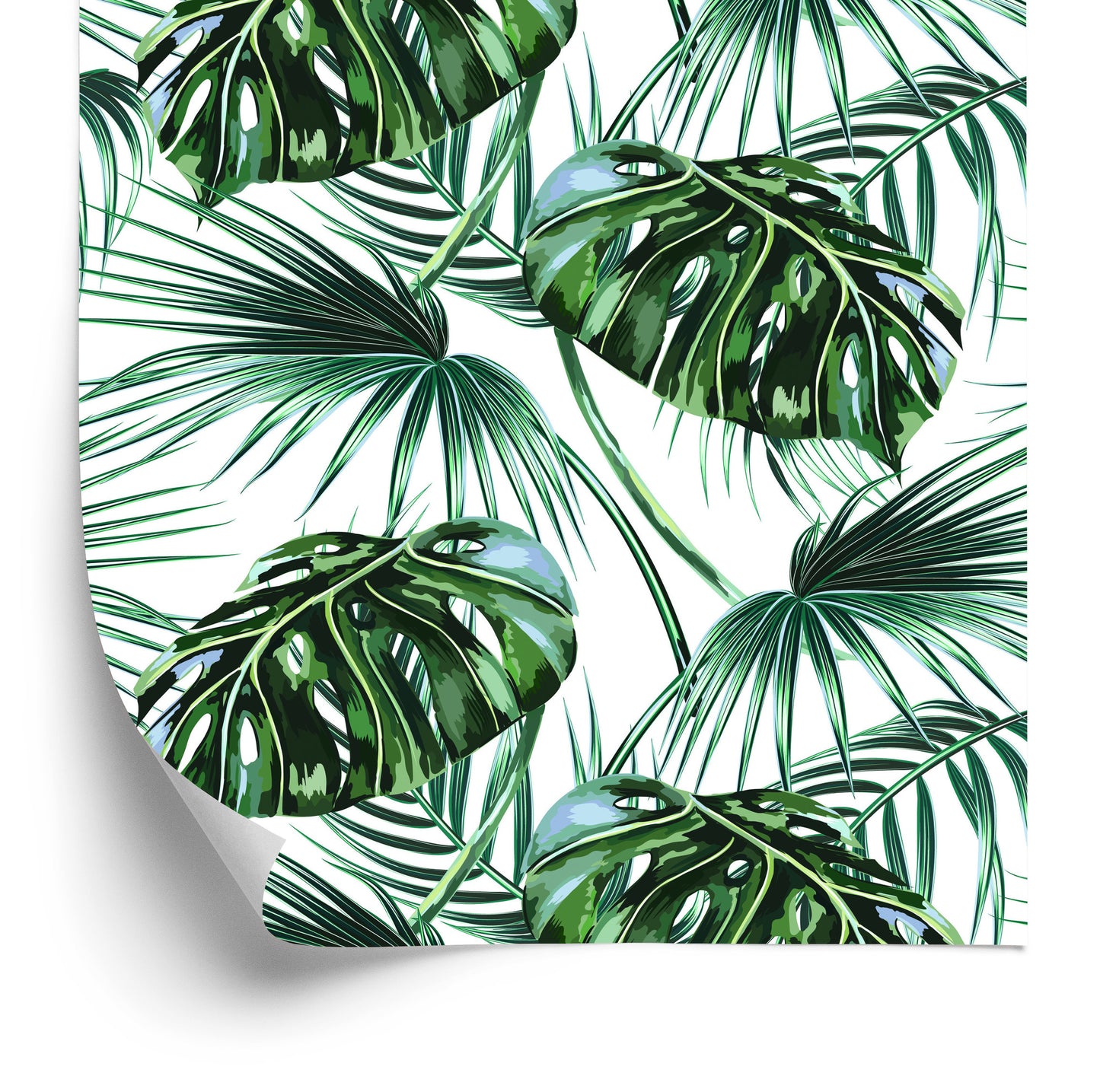 Wallpaper Leaves Of The Palm And Monstera