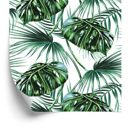 Wallpaper Leaves Of The Palm And Monstera