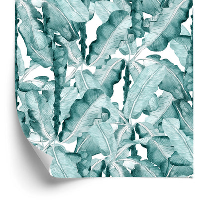 Wallpaper Exotic Leaves