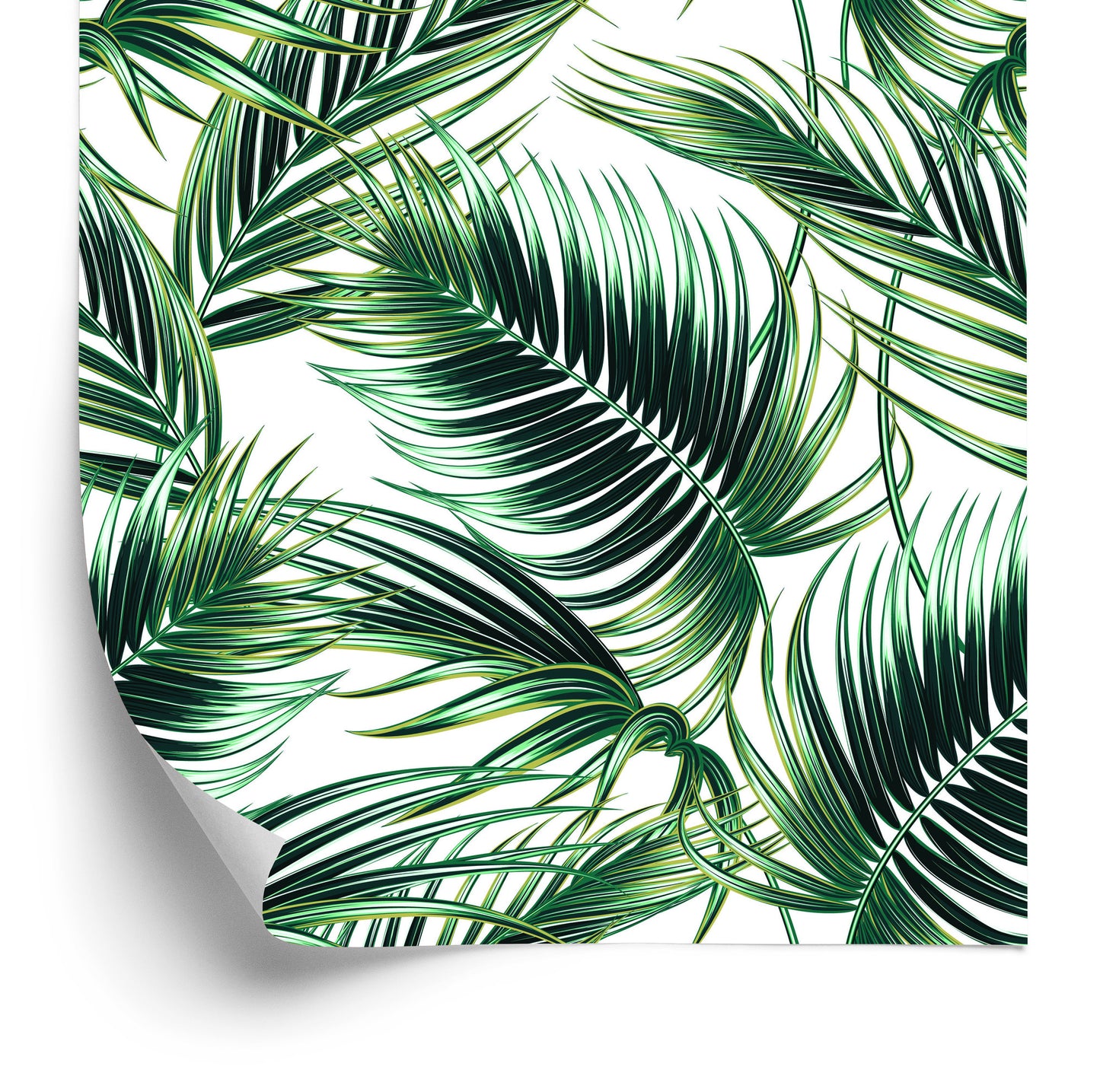 Wallpaper Fashionable Palm Leaves