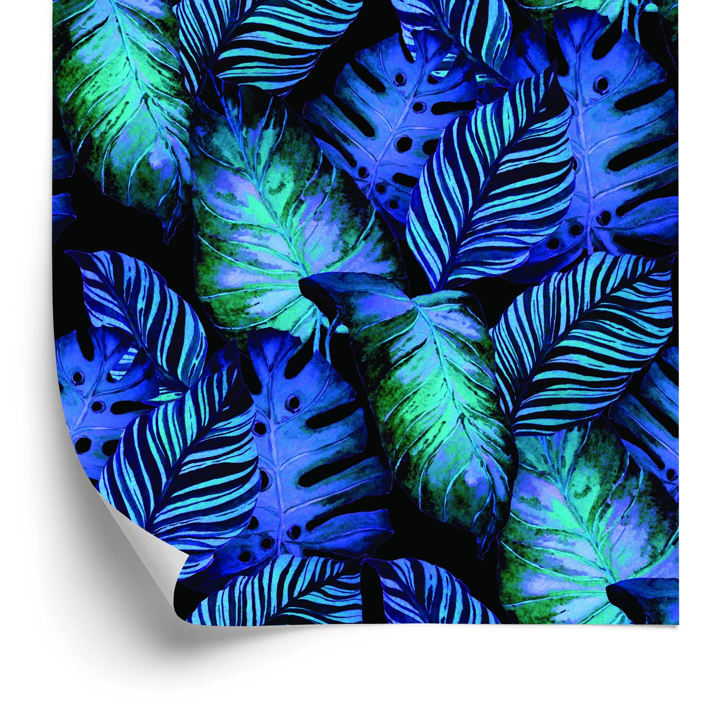 Wallpaper Beautiful Colorful Leaves