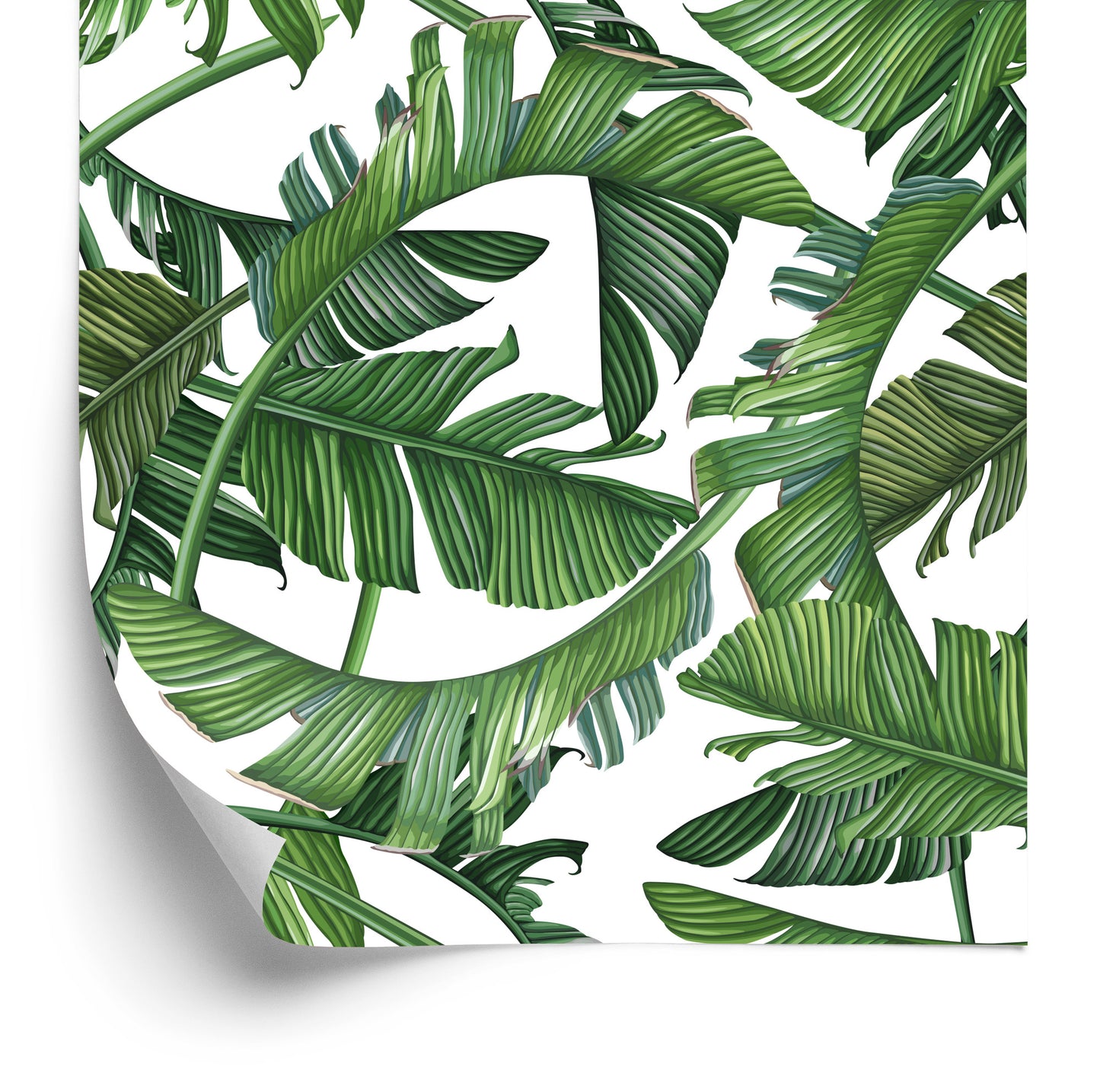 Wallpaper Beautiful Exotic Leaves