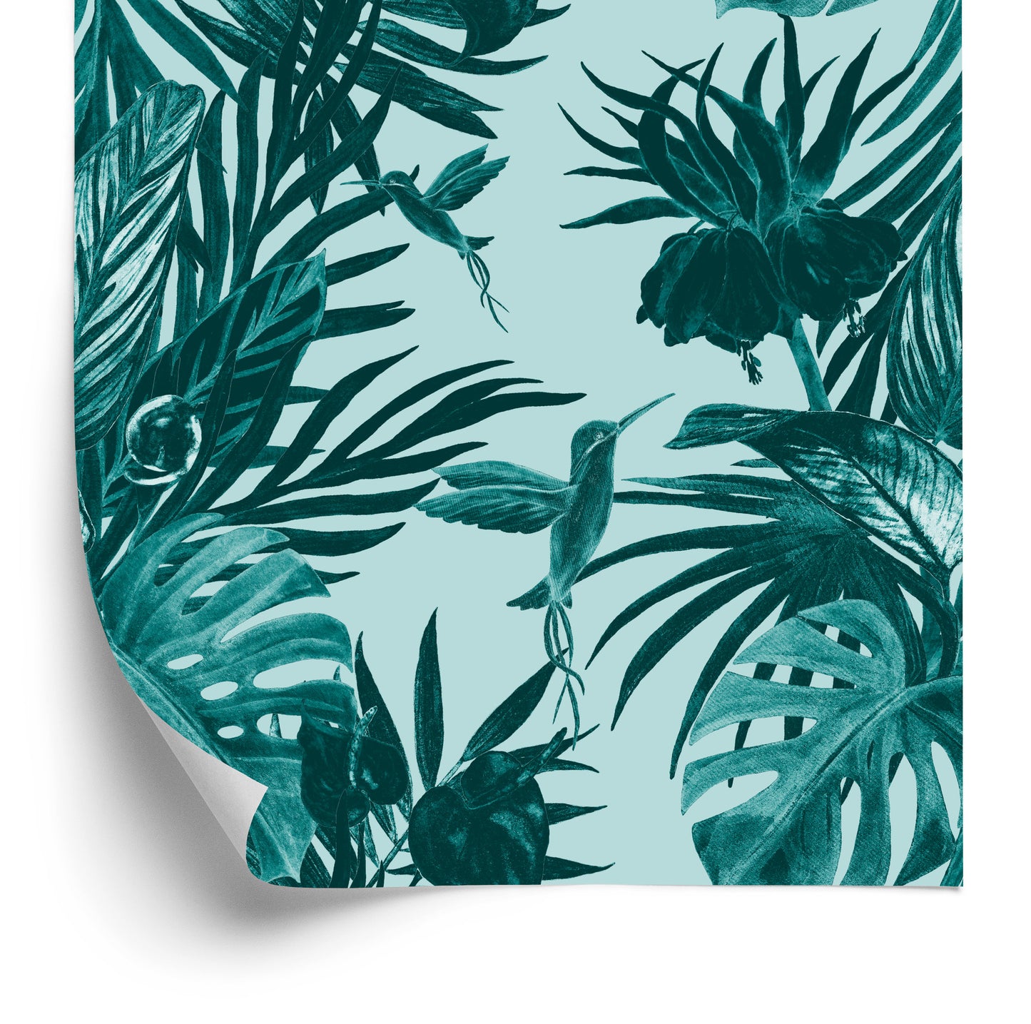 Wallpaper Hummingbirds And Leaves