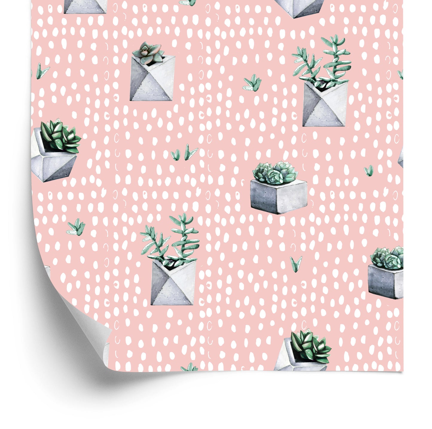 Wallpaper Cacti In Pots