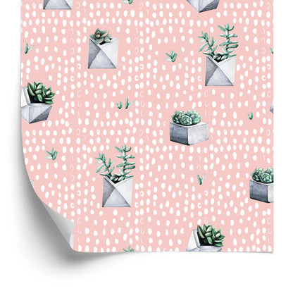 Wallpaper Cacti In Pots
