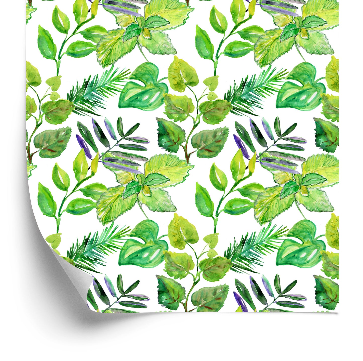 Wallpaper Forest Leaves