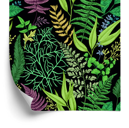 Wallpaper Forest Leaves With Fern