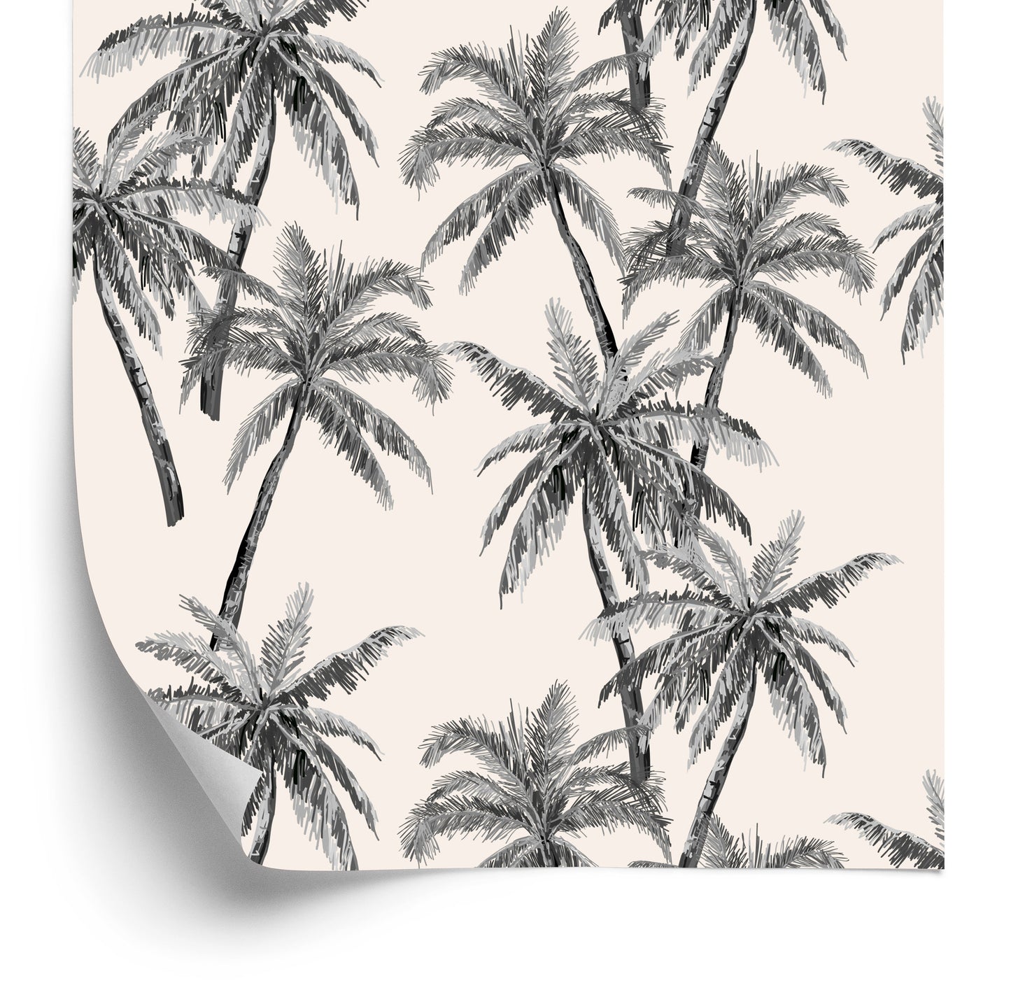 Wallpaper Palm Trees Forest Leaves Nature For Office