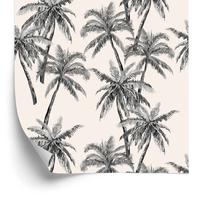 Wallpaper Palm Trees Forest Leaves Nature For Office