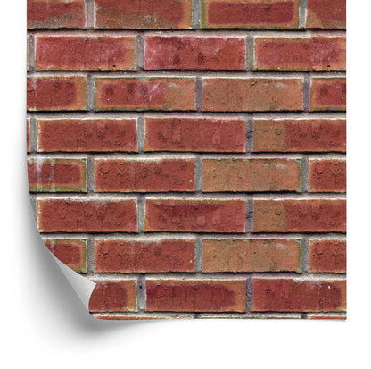 Wallpaper For The Living Room. Brick Wall. Bricks 3D Effect