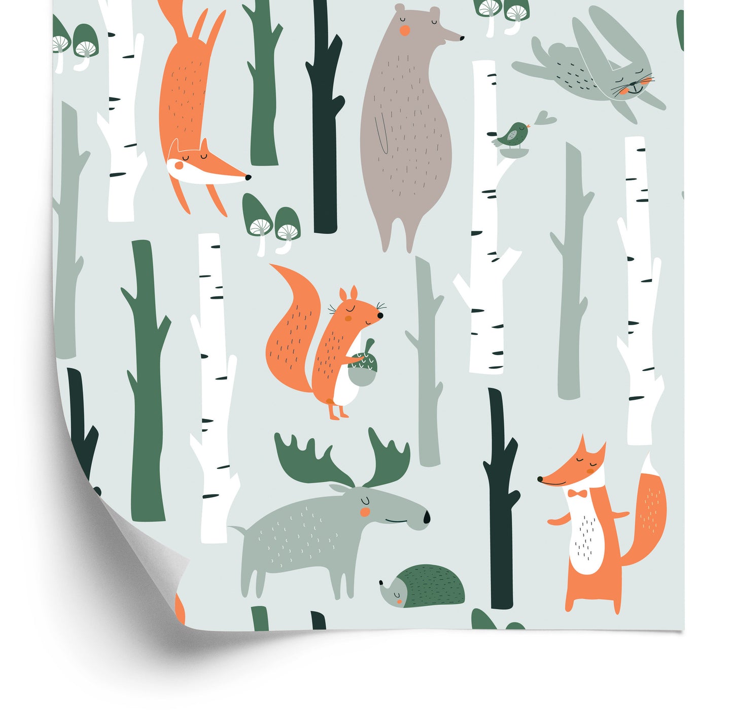 Wallpaper For Children - Beautiful Forest Animals