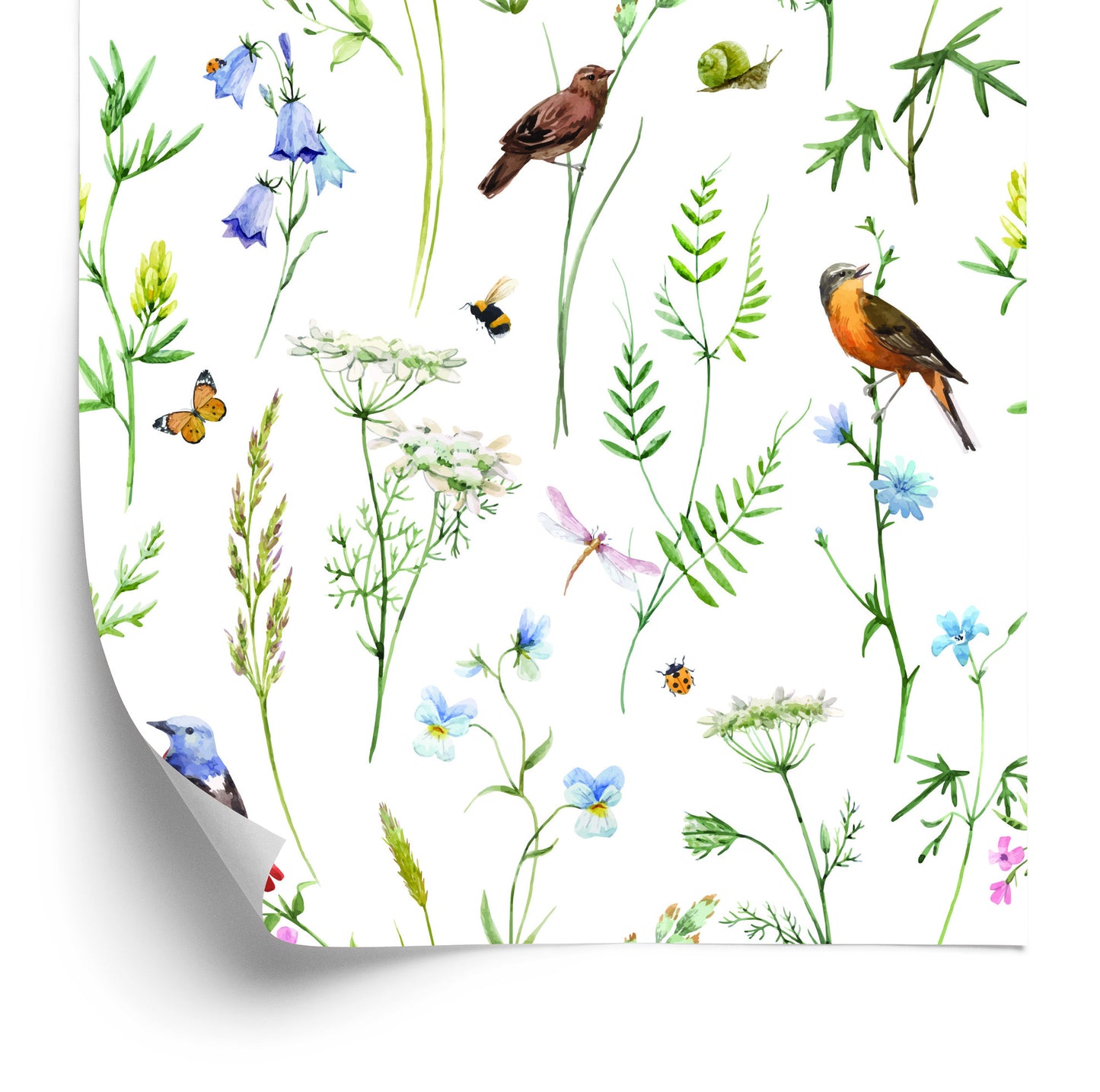Wallpaper For The Living Room, Birds, Flowers, Leaves, Nature, Butterflies