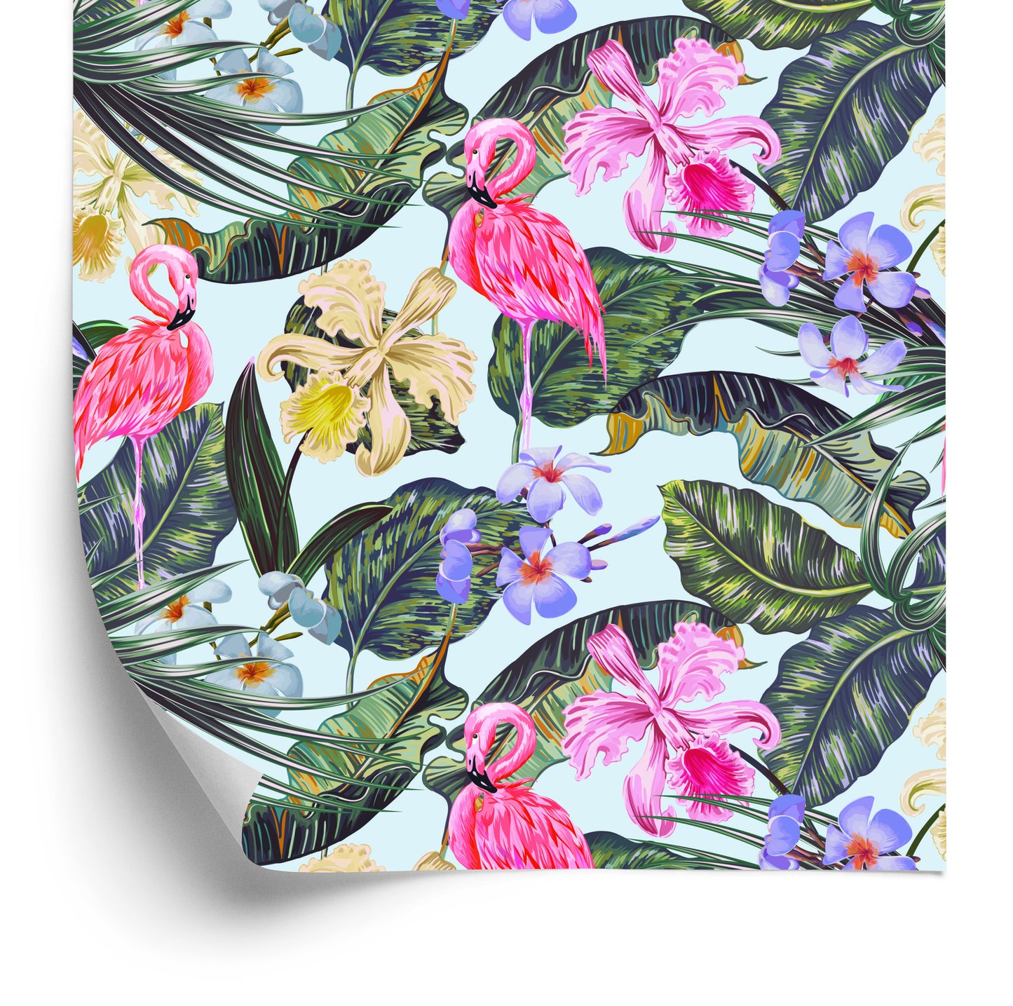 Wallpaper Flamingos. Flowers. Leaves. Nature
