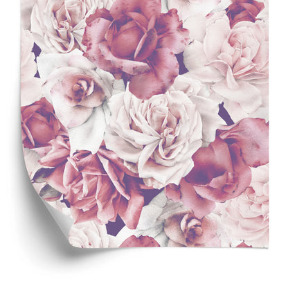Wallpaper English Roses