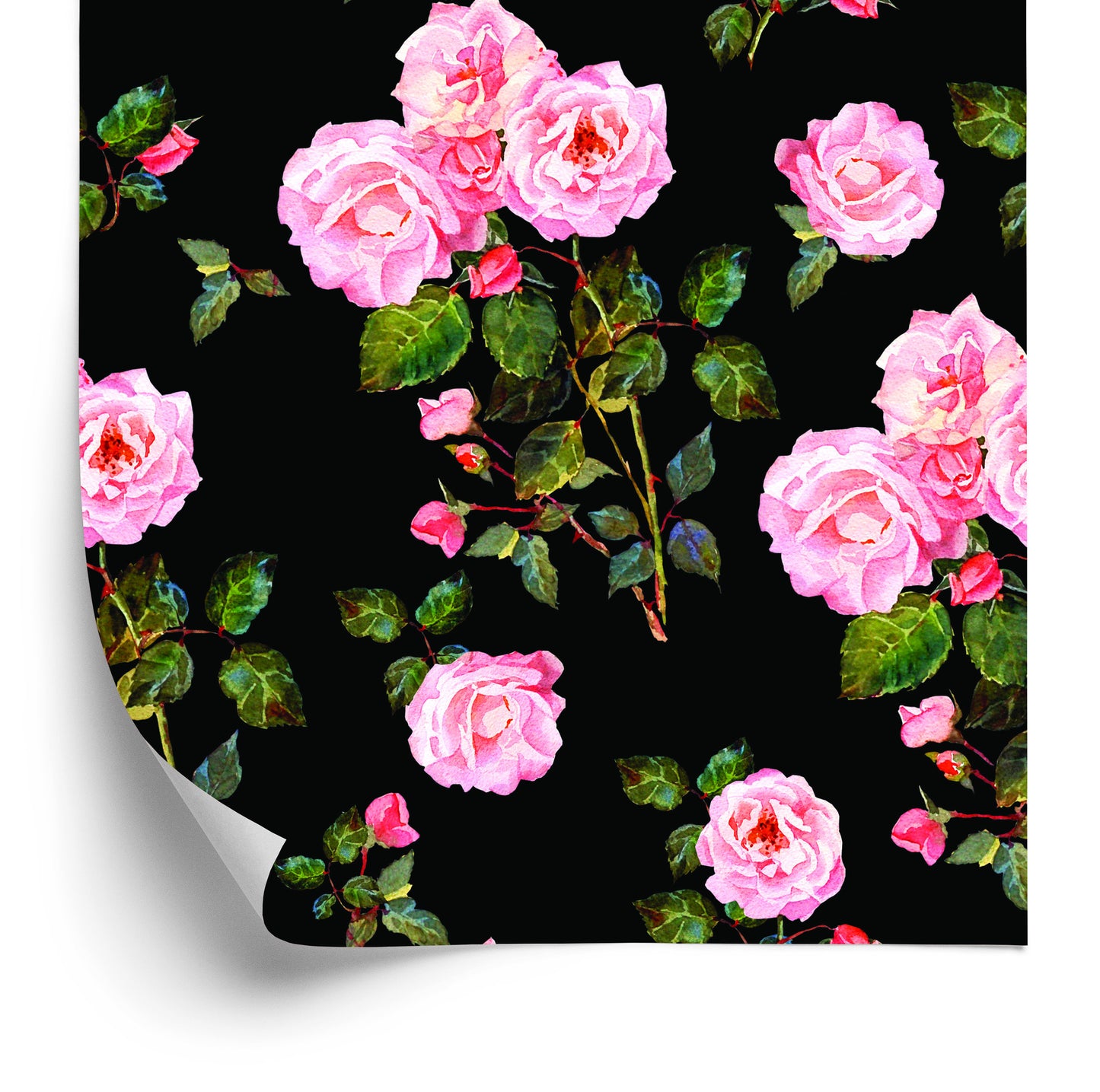 Wallpaper Roses With Thorns