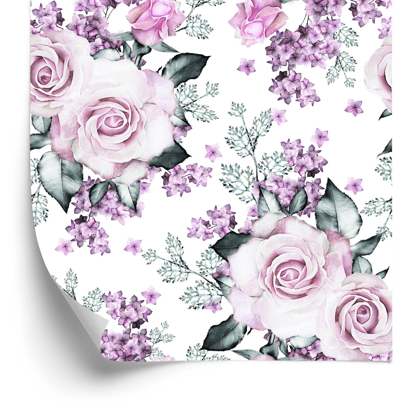 Wallpaper Delicate Roses