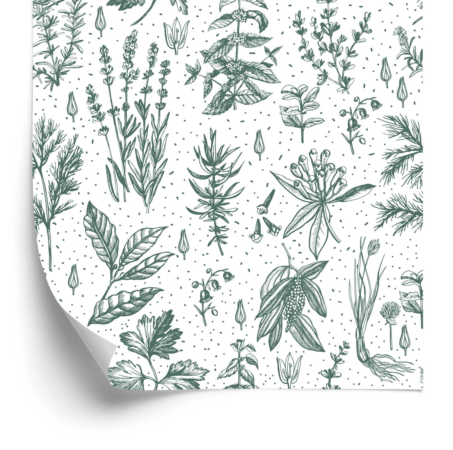 Wallpaper For Kitchen, Leaves, Plants, Herbs, Flowers