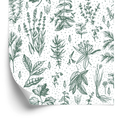 Wallpaper For Kitchen, Leaves, Plants, Herbs, Flowers