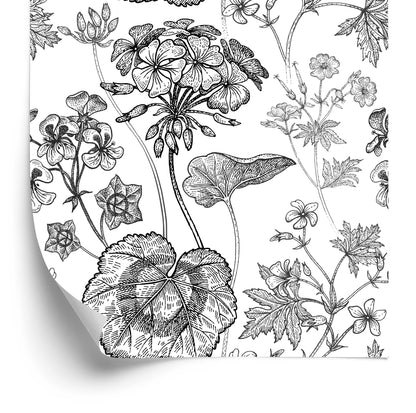 Wallpaper Black And White Geraniums