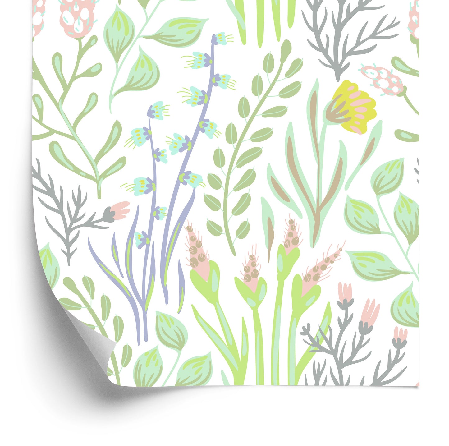 Wallpaper Field Plants