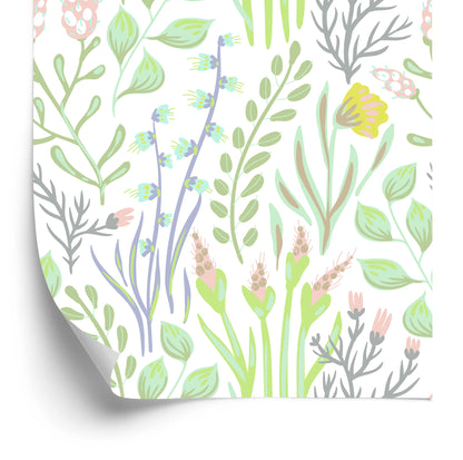 Wallpaper Field Plants
