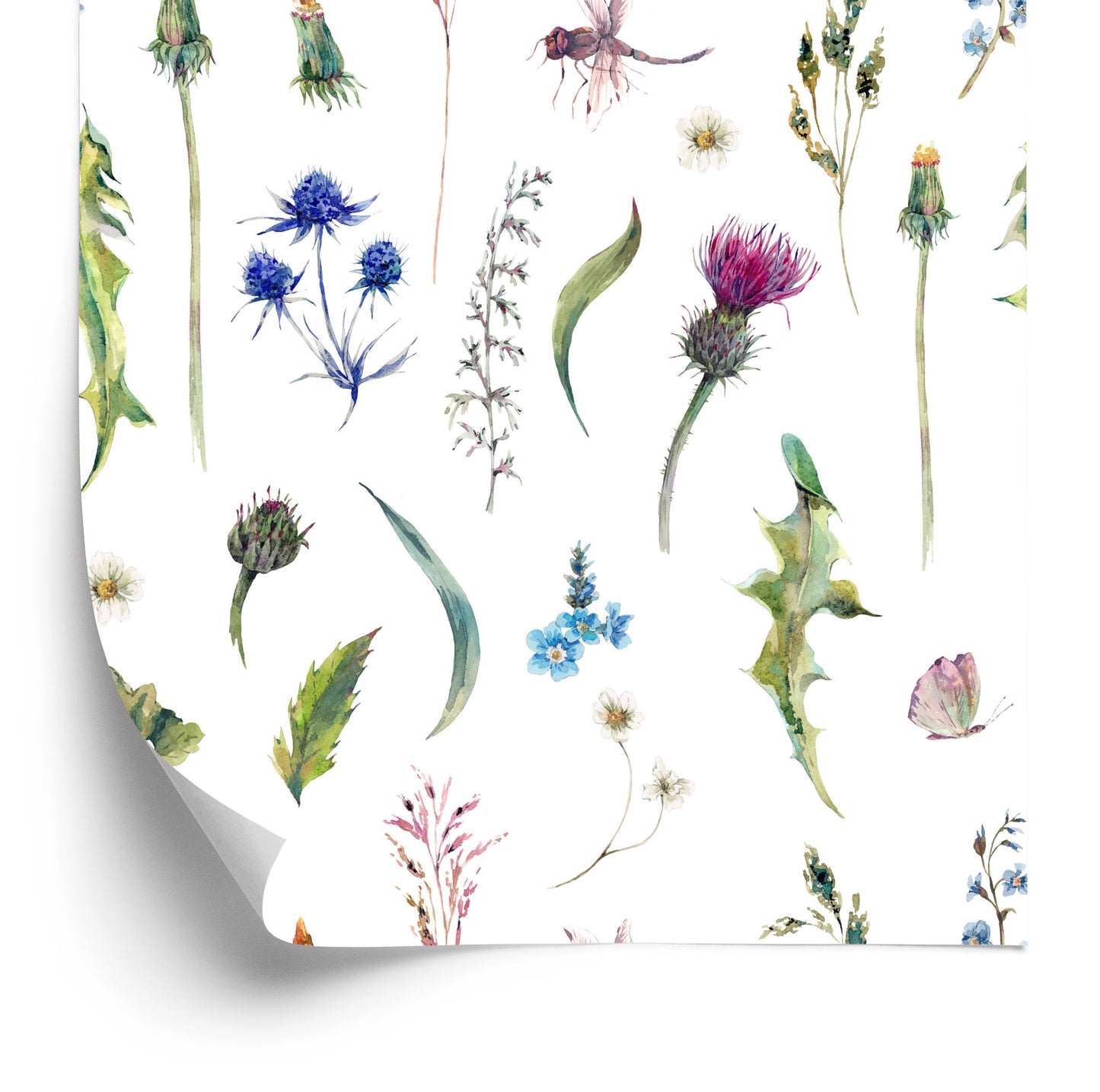Wallpaper Field Herbs With Butterflies