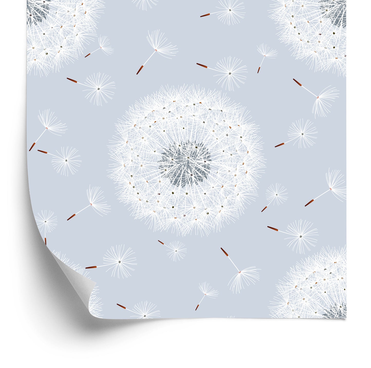 Wallpaper Flying Dandelion Seeds