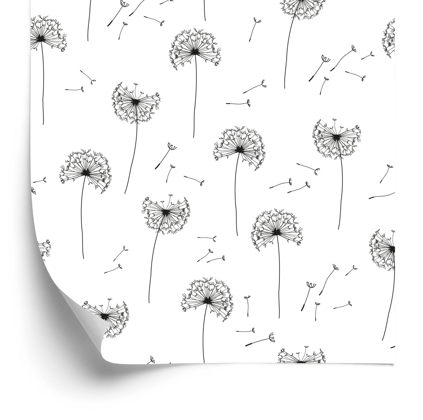 Wallpaper Flying Dandelion Seeds