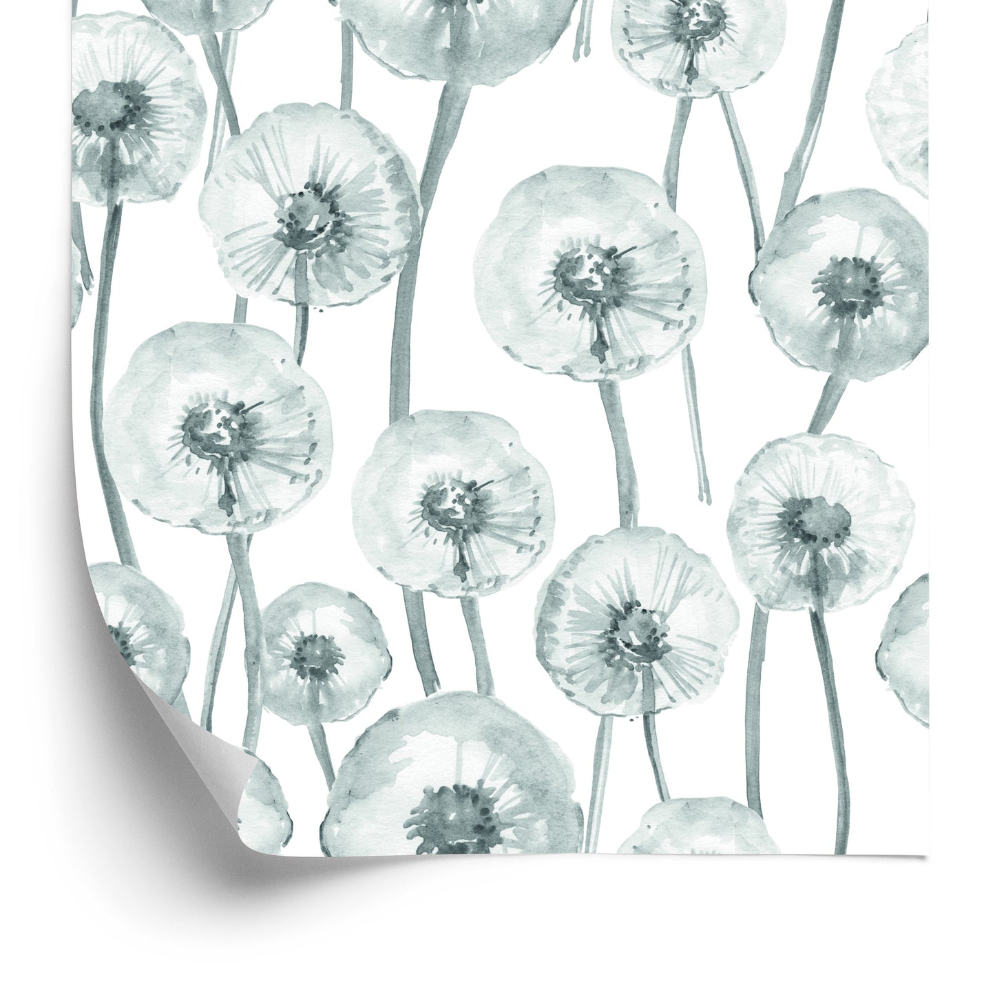 Wallpaper Dandelions Painted With Watercolor