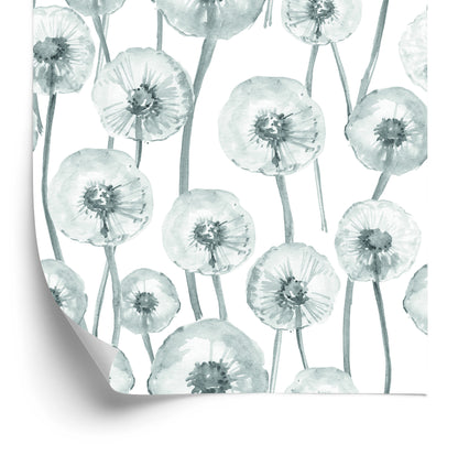 Wallpaper Dandelions Painted With Watercolor