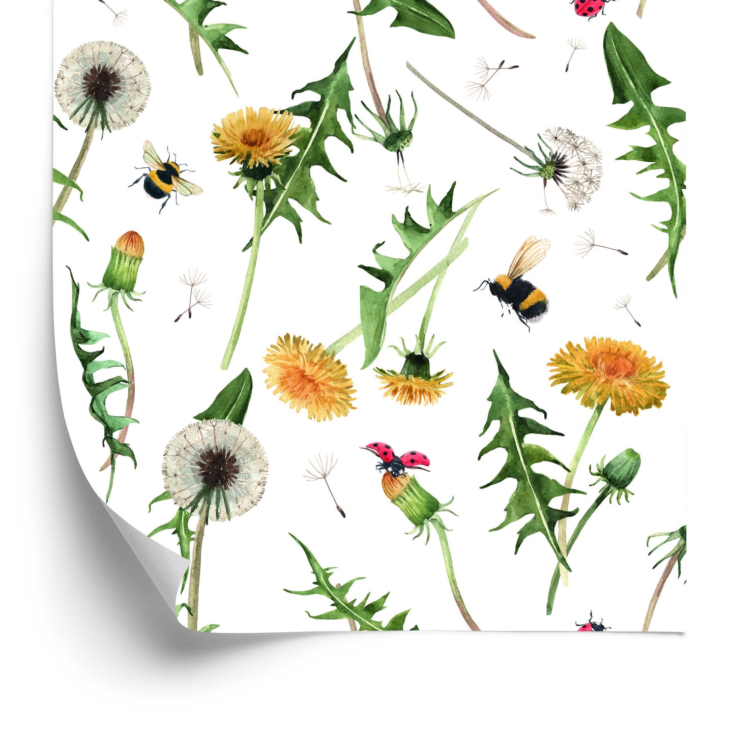 Wallpaper Dandelion Flowers With Bees