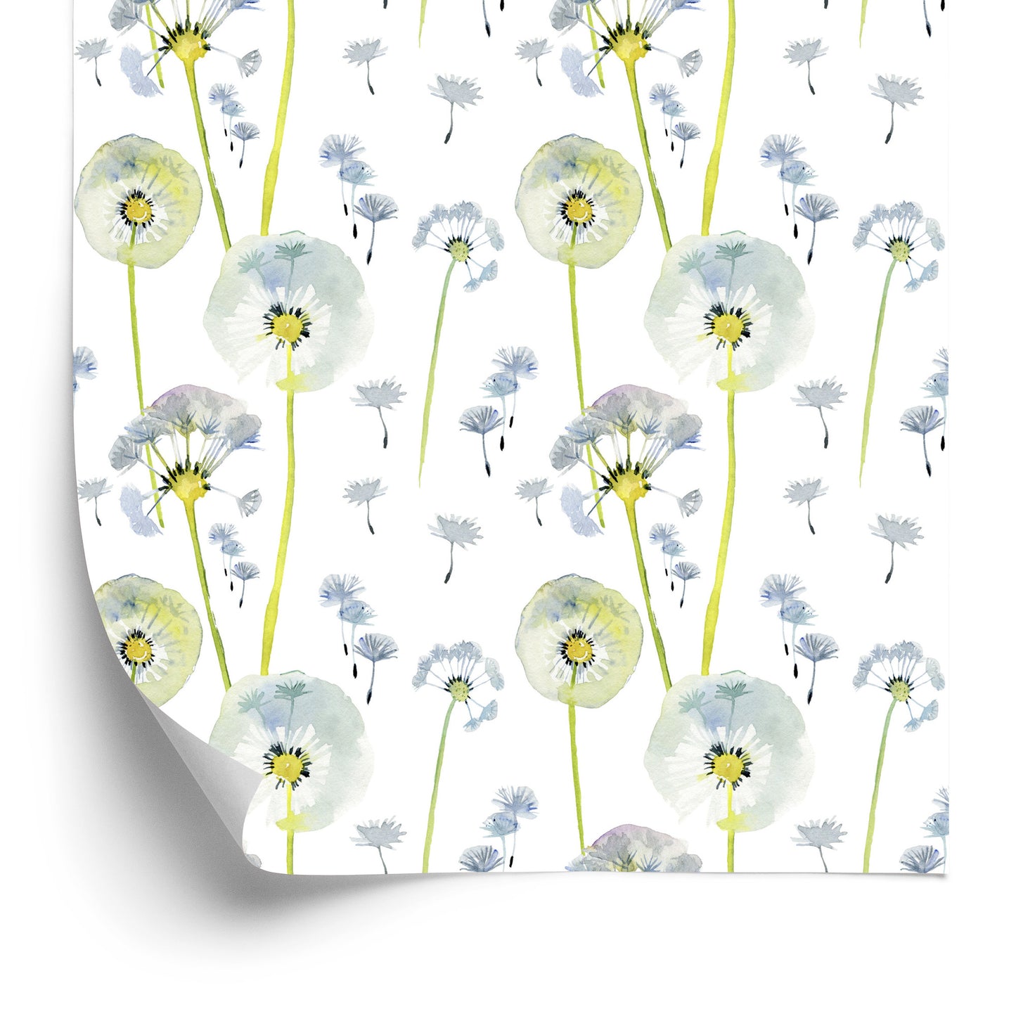 Wallpaper Painted Dandelions With Seeds