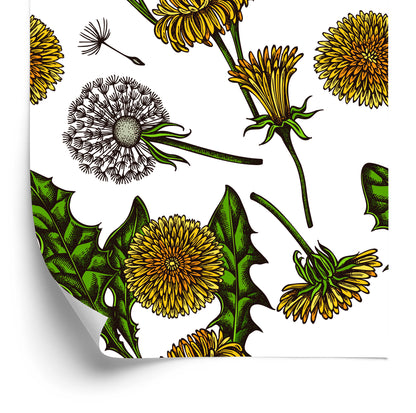Wallpaper Blooming Dandelions